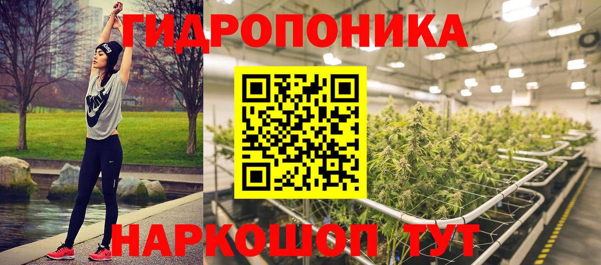 Бошки марихуана семена Астрахань